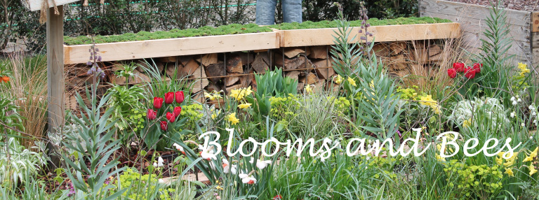blooms-and-bees