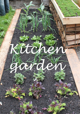 kitchen-garden