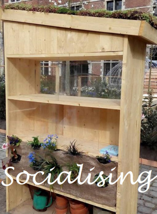 socialising