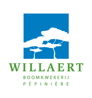 willaert