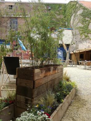 18765627_1207868549324369_6727439385371117987_n