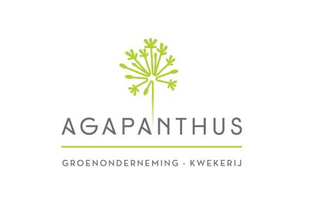 Agapanthus logo