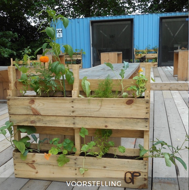 Voorstelling UE 2017